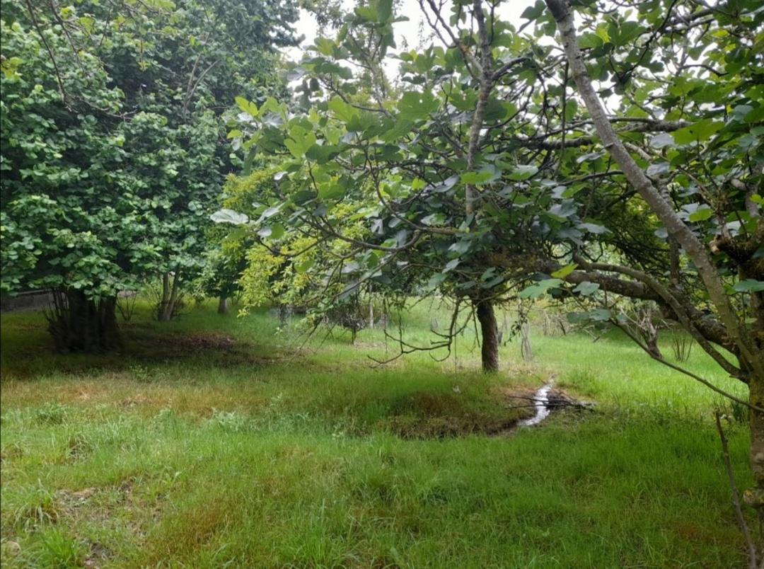 셀라노바 A Casa Dos Avos 빌라 외부 사진